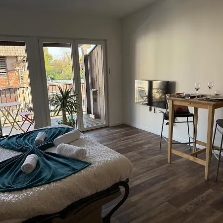 アパート Lumineux Avec Terrasse Ohnenheim