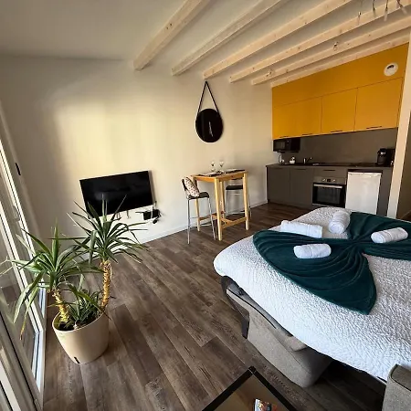 Lumineux Avec Terrasse アパート